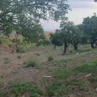 تبریز ،شهر دریان ( داریان)زمین پایین از قیمت منطقه