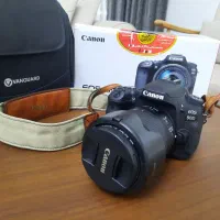 کنون 90d خانگی|دوربین عکاسی و فیلم‌برداری|شیراز, چوگیاه‎|دیوار