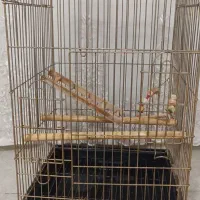 قفس پرنده|لوازم جانبی حیوانات|کرج, خرمدشت|دیوار