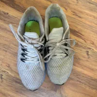 کفش اسنیکر رایگان|کیف، کفش، کمربند|شیراز, دینکان|دیوار