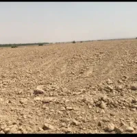 فروش زمین کشاورزی|فروش دفتر صنعتی، کشاورزی، تجاری|اهواز, کمپلو جنوبی|دیوار