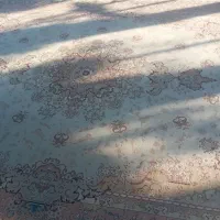 دو عدد فرش ۷۰۰شانه اصل آکرولیک ۱۲متری|فرش|محمدبار, |دیوار