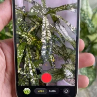 آیفون 13 نرمال حافظه ۲۵۶گیگ|موبایل|نیشابور, هفده شهریور|دیوار