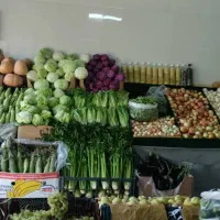 تعداد ۷ عدد پالت میوه فروشی و میز هندوانه|فروشگاه و مغازه|قم, پردیسان|دیوار
