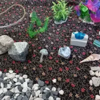 لوازم اکواریم|ماهی|نیشابور, خط کاشمر|دیوار