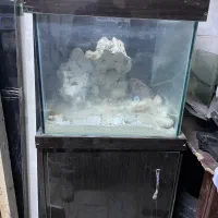 آکواریوم اب شور