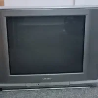 تلویزیون