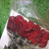 گل رز طبیعی .ودسته گل طبیعی با گل رز وگل های خوشگل|گل و گیاه طبیعی|کرج, حصارک پایین|دیوار