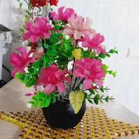گل کریستال|گل مصنوعی|یاسوج, |دیوار