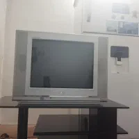 تلویزیون 21الجی همراه میزtv