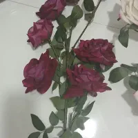 گل مصنوعی|گل مصنوعی|کوهدشت, |دیوار