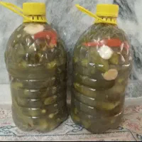 خیارشور محلی تازه