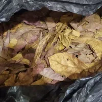 کاتاپا و سیستویفر فرص اسپرولینا دکپسوله ،متیلن بلو|ماهی|تهران, جیحون|دیوار