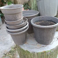 گلدان در حد نو