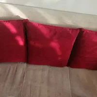 فرش و مبل|فرش|پردیس, فاز ۳|دیوار