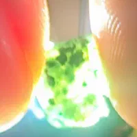 جزر سبز|جواهرات|زابل, |دیوار