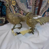 دوعدد طاووس برنز