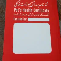 پامر اشپیتز واکسن زده،شناسنامه دار|سگ|مشهد, رستگار|دیوار