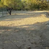 زمین باغ بر جاده