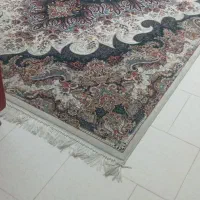 فرش ۹ متری تمیز|فرش|هشتگرد, فاز ۷ مهستان|دیوار