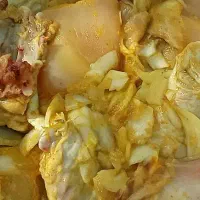 مرغ گوشتی