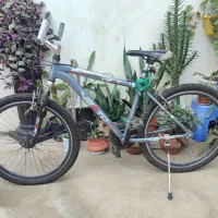 دوچرخه حرفه ای