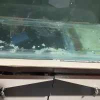 اکواریوم|ماهی|رشت, فلسطین|دیوار