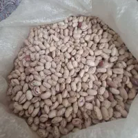 لوبیا چیتی|خوردنی و آشامیدنی|عجب شیر, |دیوار