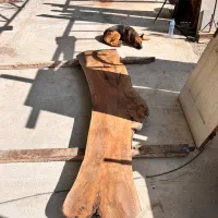 کارآموزه نجاری پذیرفته میشود