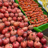 کارگر ساده و ماهر جهت میوه فروشی