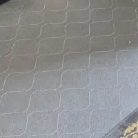 موکت درحد نو