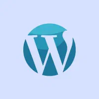 وردپرس کار حرفه ای