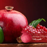 پویش نذر چایی یلدا