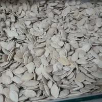 برنج عنبربو سال گذشته 250 کیلو|خوردنی و آشامیدنی|اردبیل, |دیوار