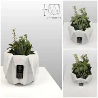 دیش گاردن / گلدان کاکتوس|گل و گیاه طبیعی|فولادشهر, B6|دیوار