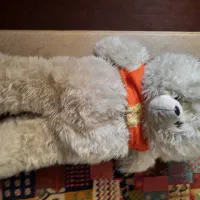 عروسک|اسباب‌بازی بچه|شیراز, شهرک گلستان|دیوار
