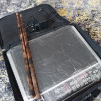 spds اس پیدی ای رولند