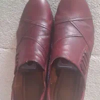 کفش  مارک Gabor اصل|کیف، کفش، کمربند|شاهین‌شهر, مخابرات (شهید بهشتی)|دیوار
