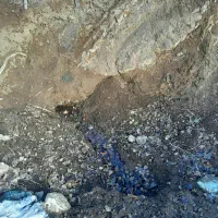 زمین کشاورزی|فروش دفتر صنعتی، کشاورزی، تجاری|خلخال, |دیوار