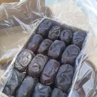 خرمای مضافتی بم