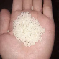 دم سیاه|خوردنی و آشامیدنی|رشت, سلیمانداراب|دیوار