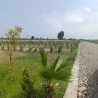 زمین اقساطی در جاده اصلی