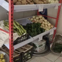 یک-باب-مغاره-14-متری-در-حال-حاضر-میوه-فروشی-هست