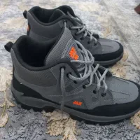 کفش کتونی|کیف، کفش، کمربند|رشت, باهنر|دیوار