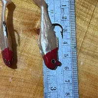 طعمه مصنوعی ژلهای|ماهیگیری|اردبیل, |دیوار