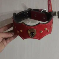 قلاده کتفی چرمی سگ،قلاده گردنی،معاوضه با گوشی،ظبط|لوازم جانبی حیوانات|نسیمشهر, |دیوار