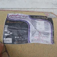 گلیم|گلیم، جاجیم، گبه|ری, دیلمان|دیوار