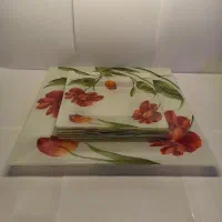 ست شیرینی‌خوری و پیشدستی مربعی در حد نو