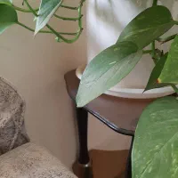 گلدان سفالی