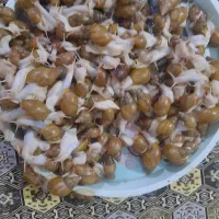 حلزون درمانی آچاتینا